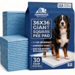 XXL 36x36 dog pee pad navy package with Bernese Mountain Dog, 30 count