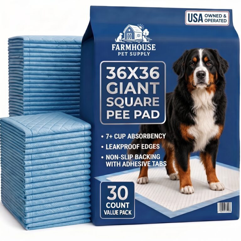 XXL 36x36 dog pee pad navy package with Bernese Mountain Dog, 30 count