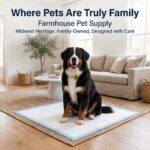 Bernese Mountain Dog sitting on 36x36 XXL pee pad in living room